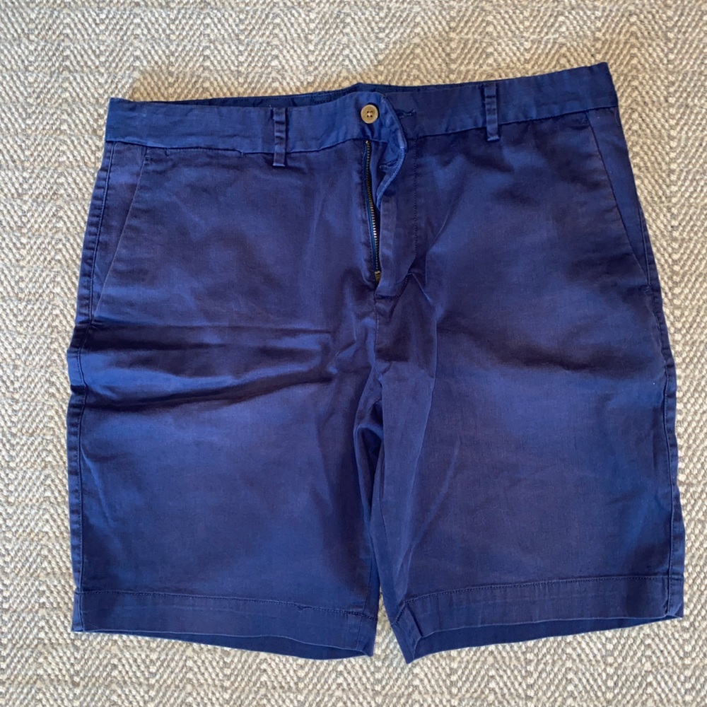 Brandy Melville Blue Men's Shorts